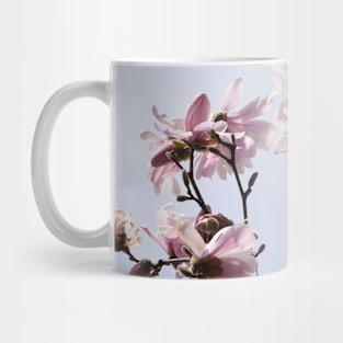 Large Pink Flowers, Spring Time Blossoms Mug